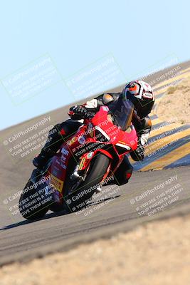 media/Feb-12-2022-SoCal Trackdays (Sat) [[3b21b94a56]]/Turn 12 (140pm)/